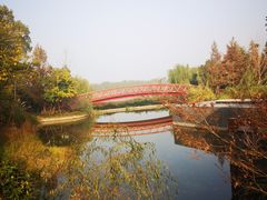 -正荣国领