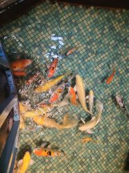 -酷嗒动物文化乐园(cutezoo西溪乐天城店)