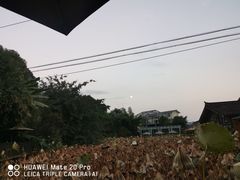 -莫催咖啡