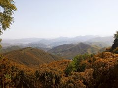 -莫干山风景区