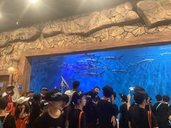 -华夏文旅海洋公园