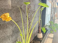 -帝京日语(春熙路旗舰校区)