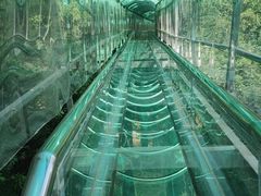 -西游洞风景区