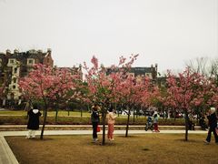 -新江湾城公园