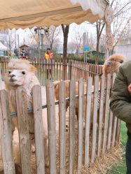 -萌宠亲子动物乐园(槐房万达店)