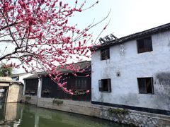 -南浔古镇