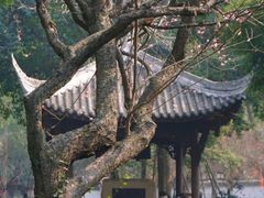 -成都杜甫草堂博物馆