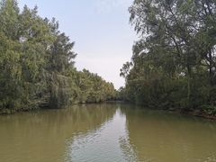 -大湾区中央湿地公园