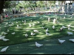 -长白岛森林公园