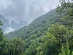 -陕西省红河谷森林公园