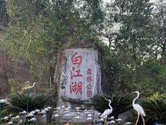 -广州白江湖森林公园