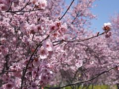 -白塘生态植物园