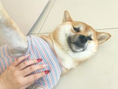 -怪兽屋·羊驼·猫咖·狗咖(俊华广场店)