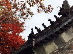 -妙峰山风景名胜区
