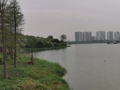 -广东花都湖国家湿地公园