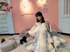 -喵宠乐园·撸猫互动·猫舍