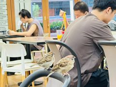 -香港大学
