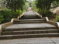 -广东茂名森林公园