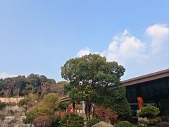 -杭州开元森泊度假乐园