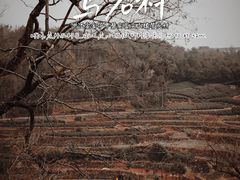 -乌石村