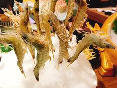 -尚海豆捞(乐虹坊店)