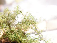 景观位-BOR Eatery(安福路店)