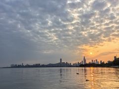 -深圳湾公园(南山区)