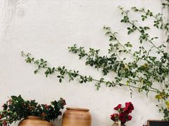 -云里小坐·小院里·团建·宴请·下午茶(三圣乡店)