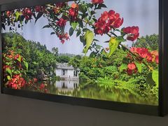 -深圳国际园林花卉博览园