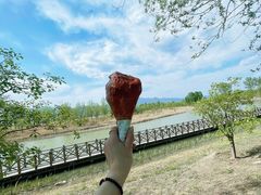 -野鸭湖国家湿地公园