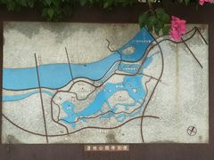 -五缘湾湿地公园