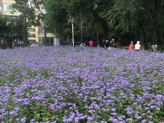 -黑龙江公园