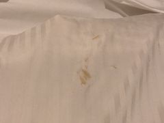 -秋叶原华盛顿酒店