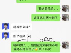 -联合动物医院(光谷诊疗中心)