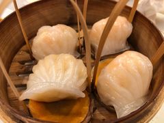 -金鼎轩(方庄天坛店)