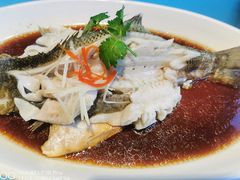 -晶泽丽琅·鱼鲜川菜(川师店)