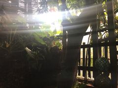 -自然餐厅(Phuket)