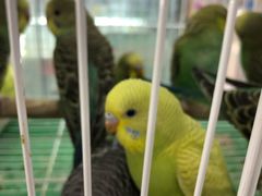 -三旗百汇商品城