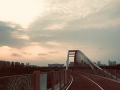 -白鹭湾湿地公园