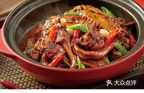 Dongting Old Water Duck