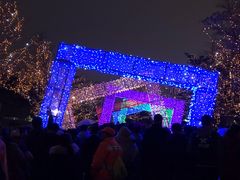 -飞凤山奥体公园