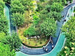 -飞凤山奥体公园