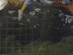 -少林寺欢喜地素斋馆