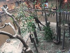 -阿甘虾餐厅(凌霄阁店)