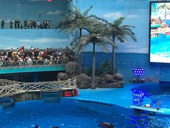 -海合安成都极地海洋公园