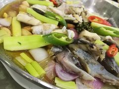 舌尖上的鲟龙鱼-新兴家喻酒家·羊城名宴(昌岗店)