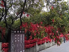 -句容茅山景区
