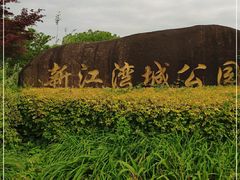 -新江湾城公园
