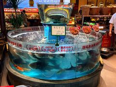 -魏铭鱼头捞饭(晋阳路店)