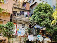 -小洲村